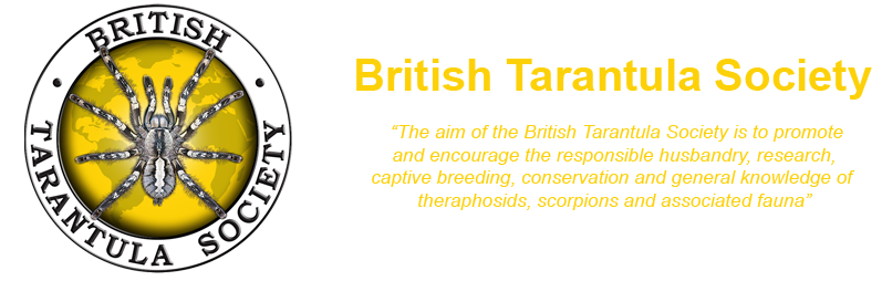 Powered by vBulletin Logo