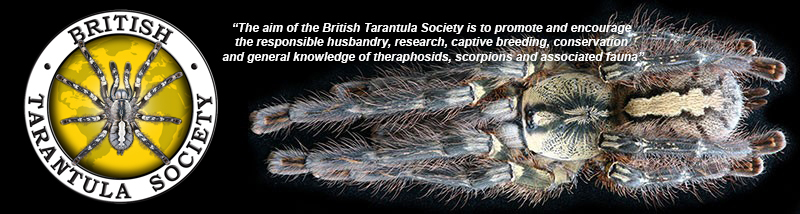 British Tarantula Society | The Worlds Oldest Ongoing Tarantula Society