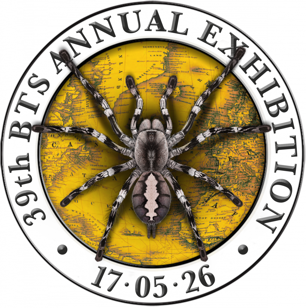 39th BTS Exhibition tickets 